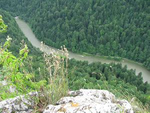 Pieniny Dunajec